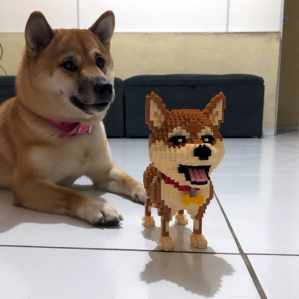 KNEW BUILT 柴犬犬モデル マイクロミニビルディング - Kids Education Recreation のレビューと価格