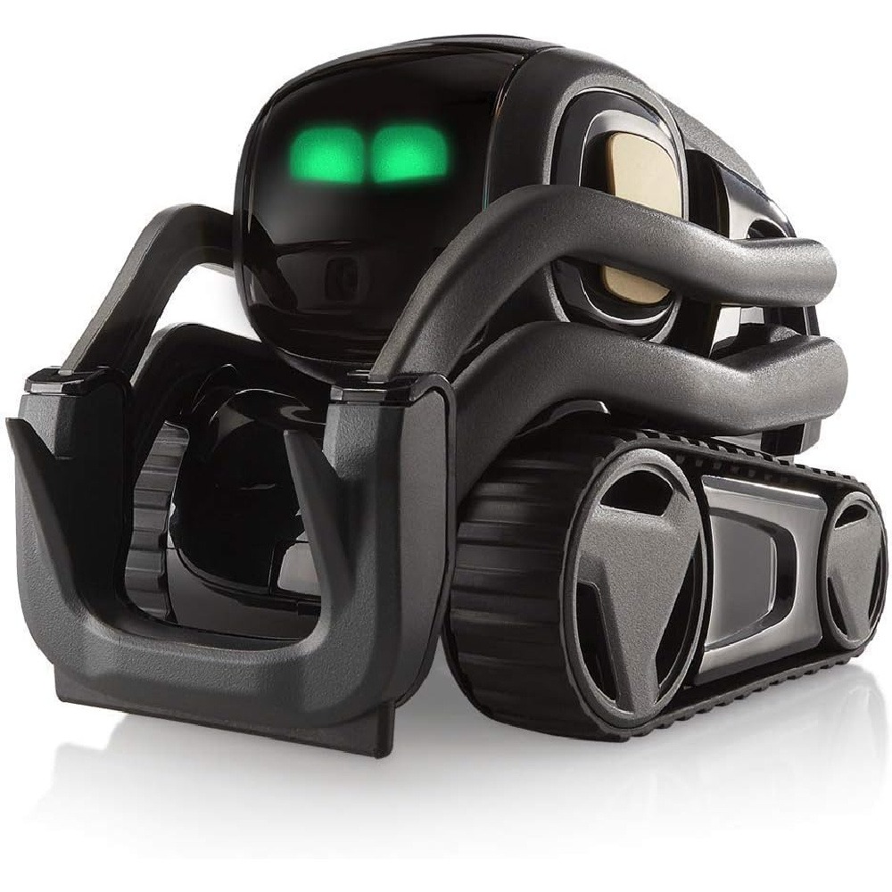 AI ChatGPT 2.0接続ロボットコンパニオン、顔認識 - Kids Education In Us のレビューと価格