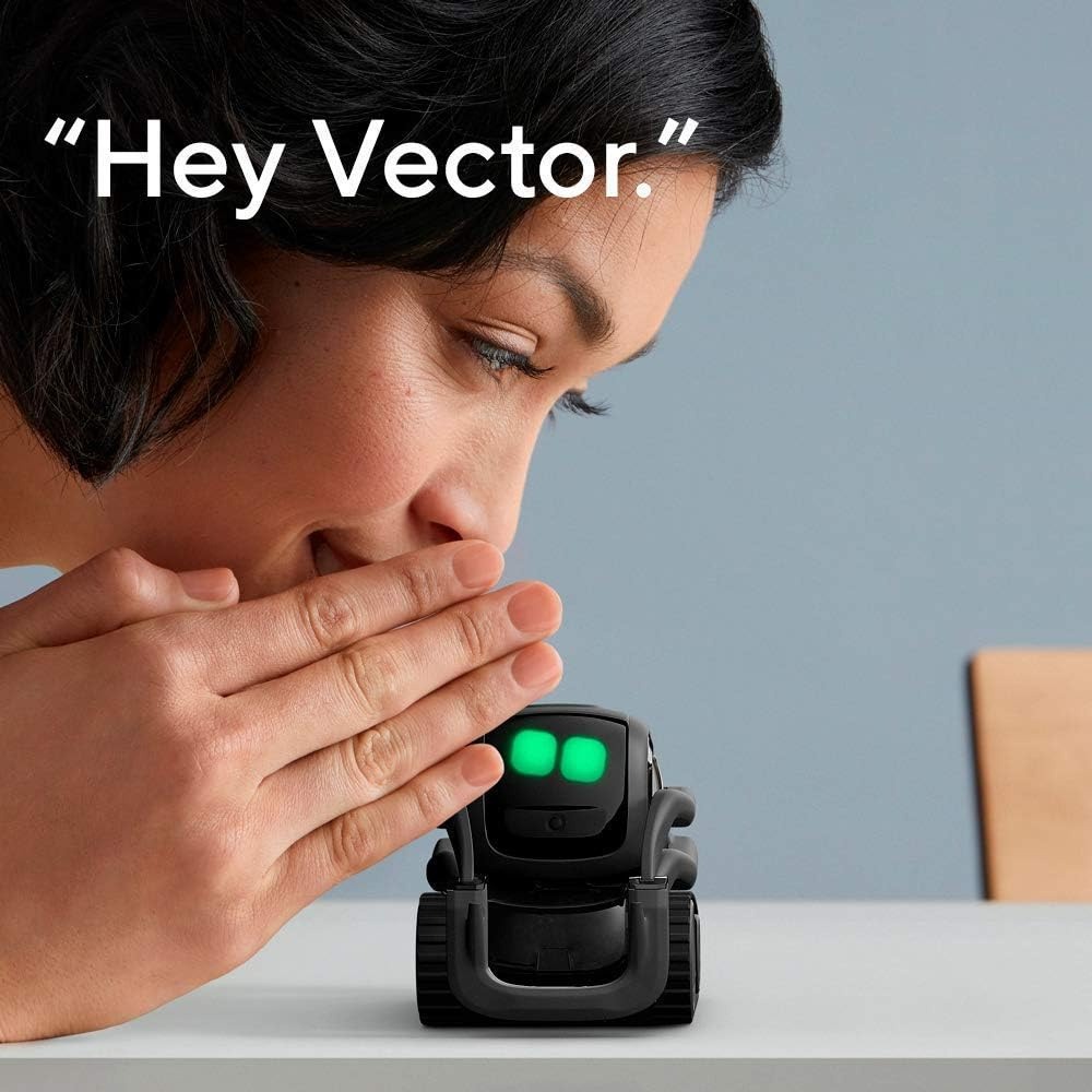AI ChatGPT 2.0接続ロボットコンパニオン、顔認識 - Kids Education In Us のレビューと価格